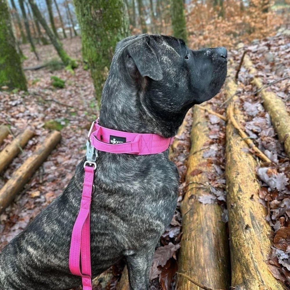 WOOFED - Halsband pink