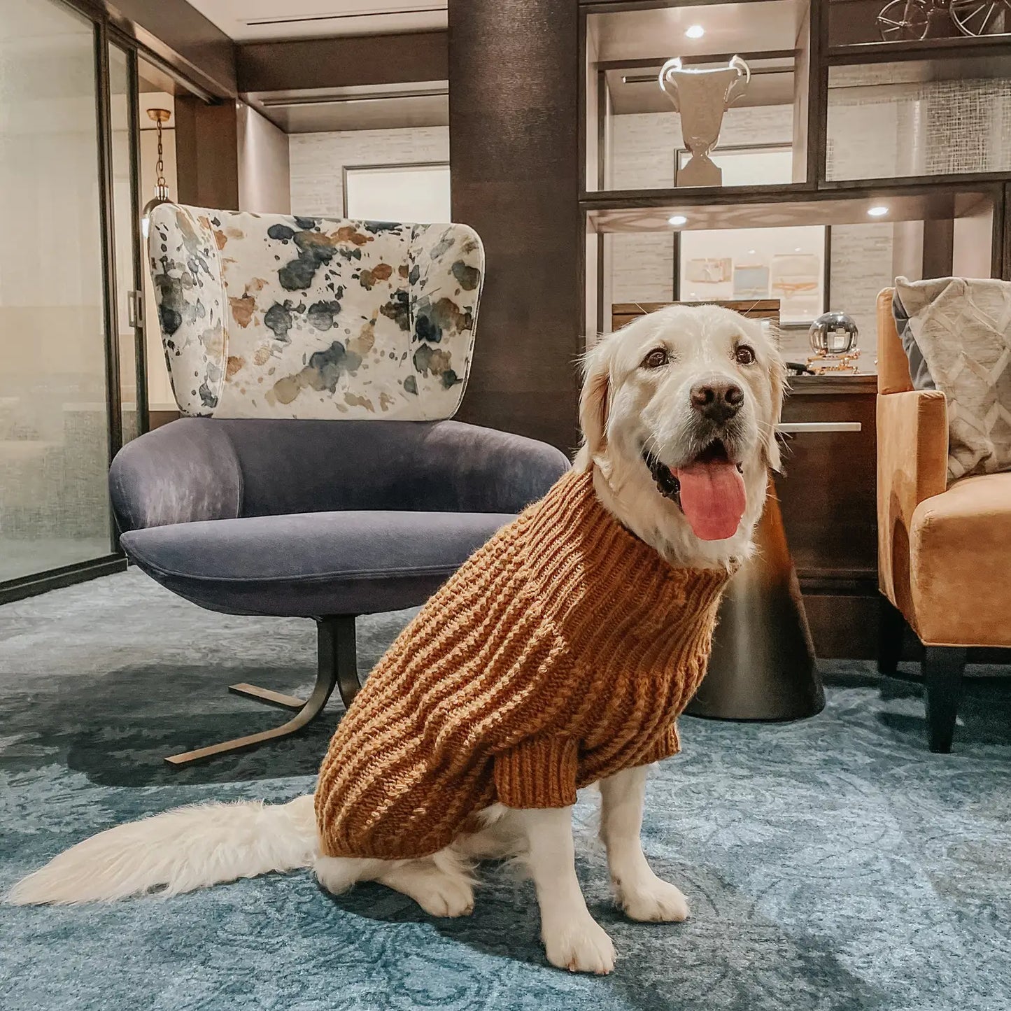 SASSY WOOF Hundepullover - braun