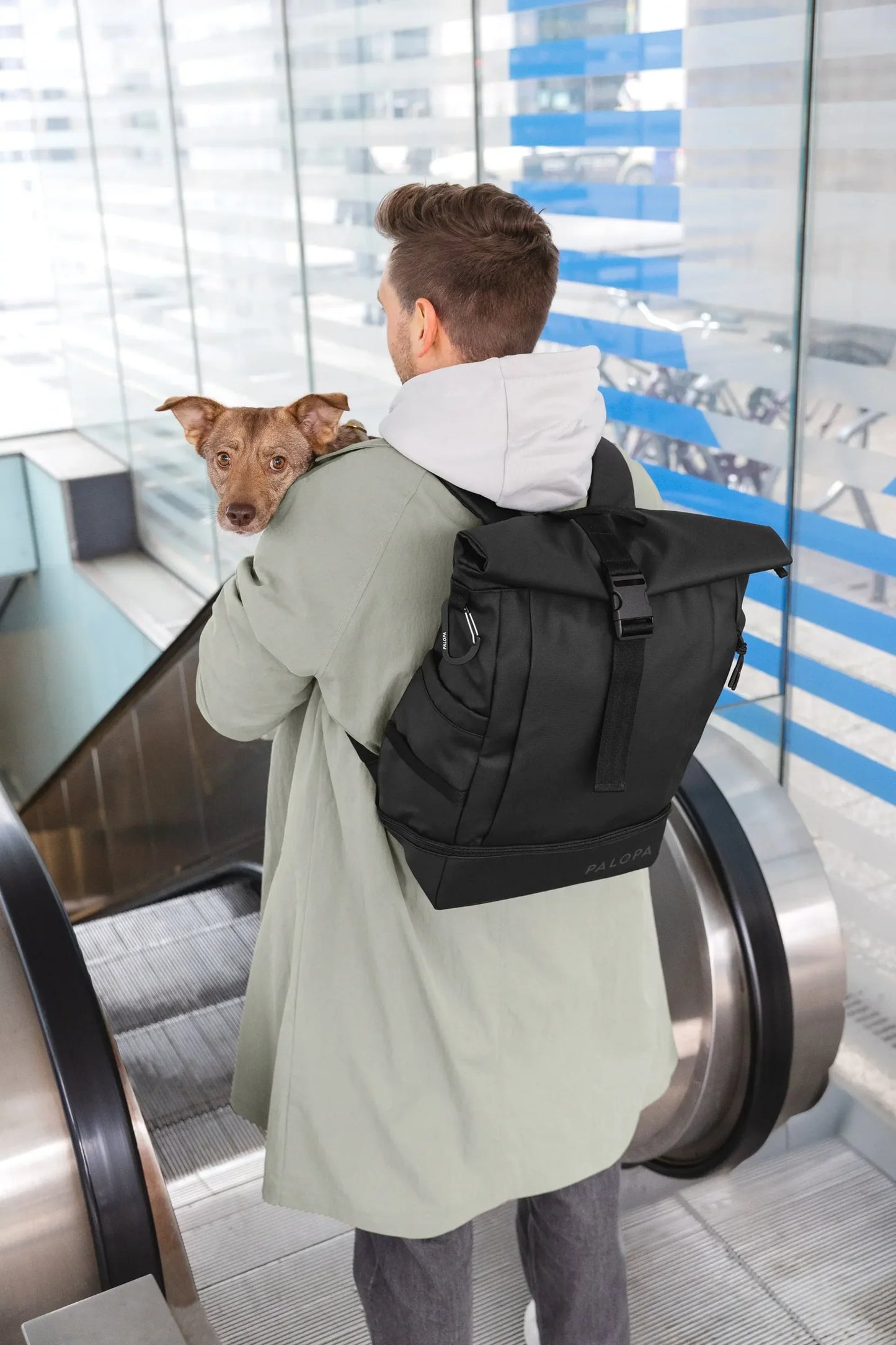 PALOPA - Rucksack Rolltop Yoska, schwarz