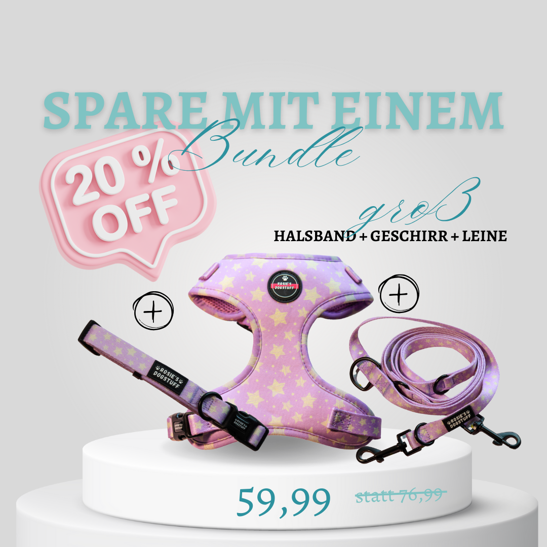 ROSIE'S DOGSTUFF - Bundle groß lila