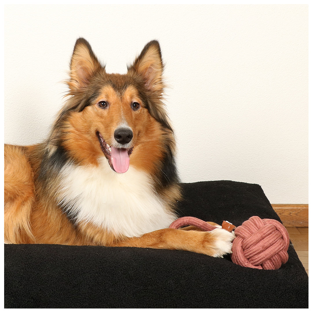 D&D Home - Ball Harper, rosa