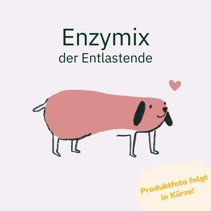 Mein Fellkind - Vitalsnack: Enzymix, der Entlastende