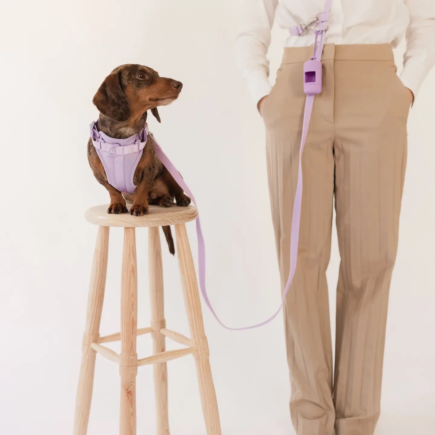 PRILTON - Leine, Handsfree, lila