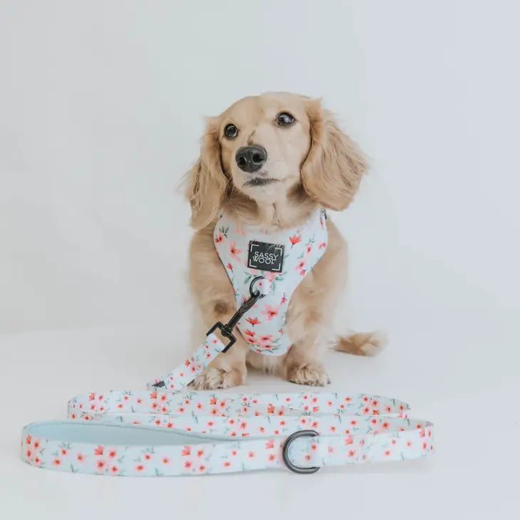 SASSY WOOF Geschirr - Sakura