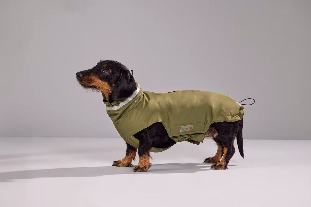 WOLTERS - Outdoorjacke Modern Classic, olive lang