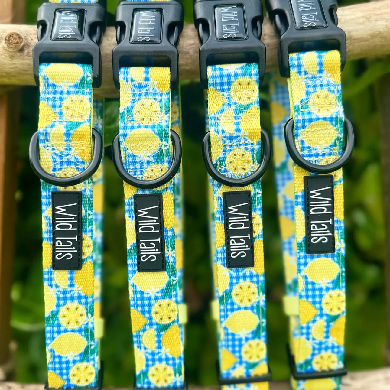 WILD TAILS Halsband - Lemon Squeezy
