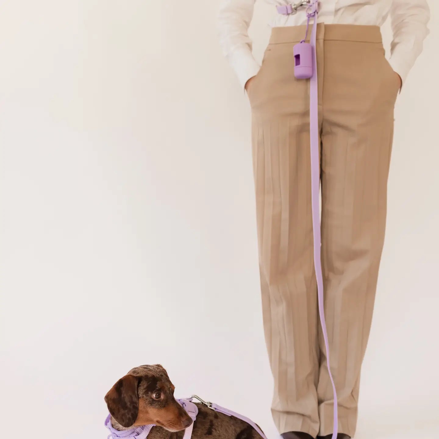 PRILTON - Leine, Handsfree, lila