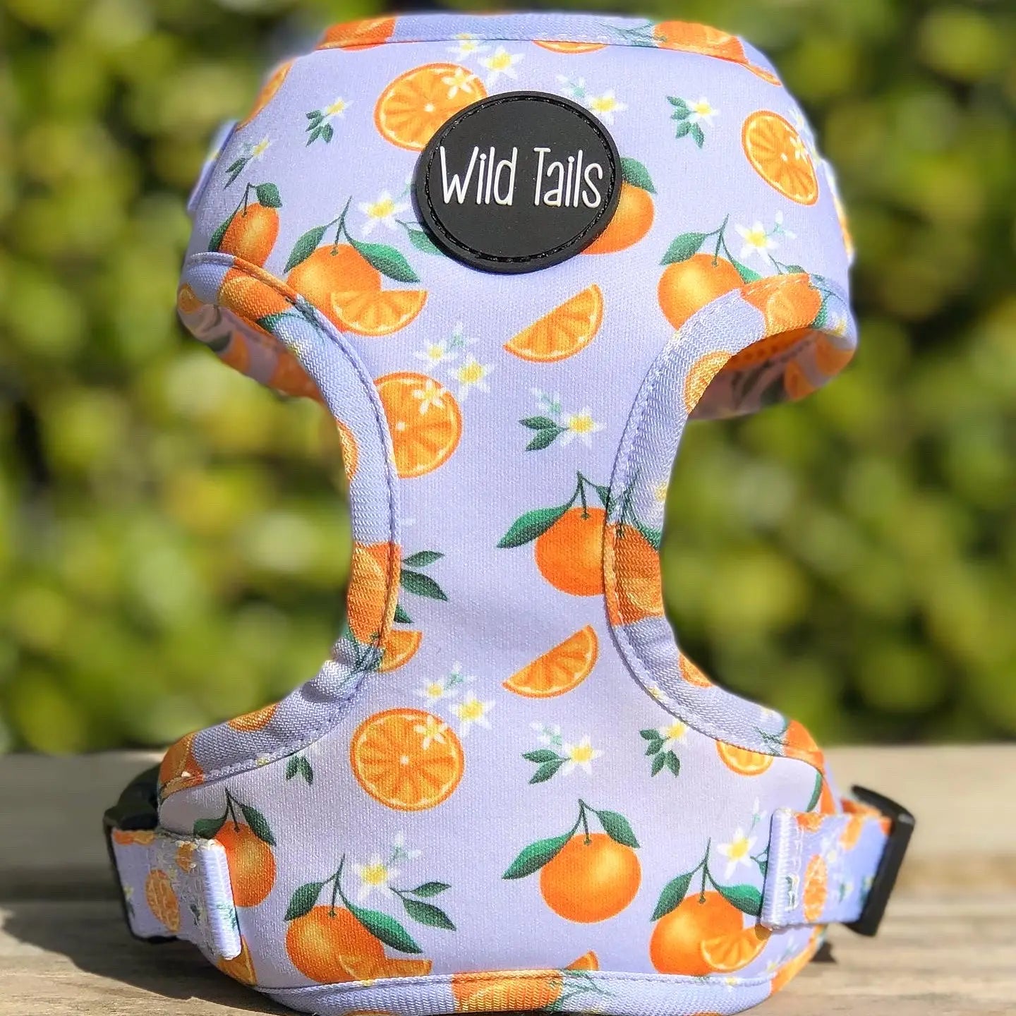 WILD TAILS Geschirr - Orange Blossom