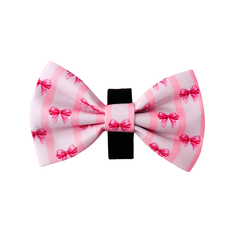 FELLEVER & PAWAYS Bowtie - Barktoria's Secret