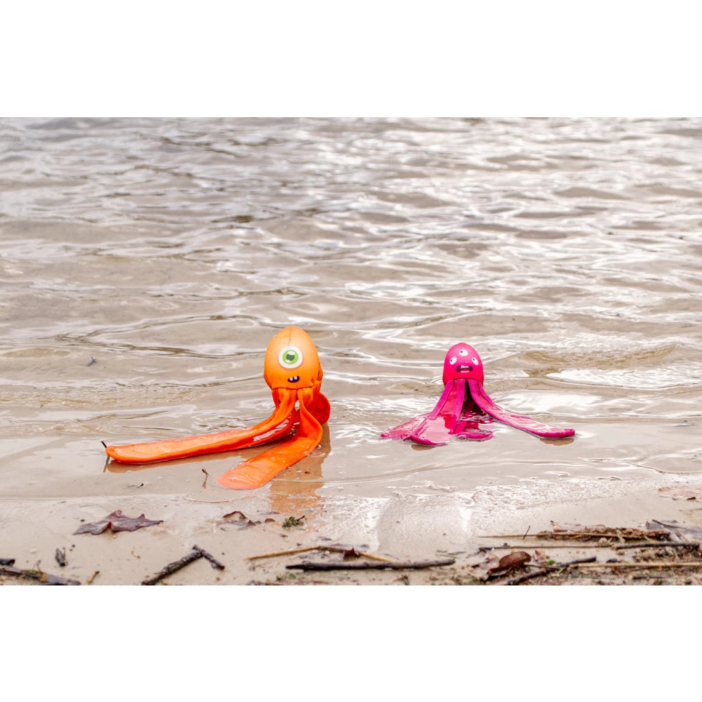 DOG COMET - Alien Octo, orange