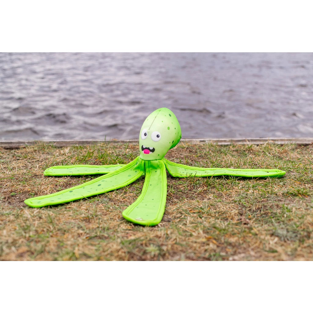 DOG COMET - Alien Octo, grün
