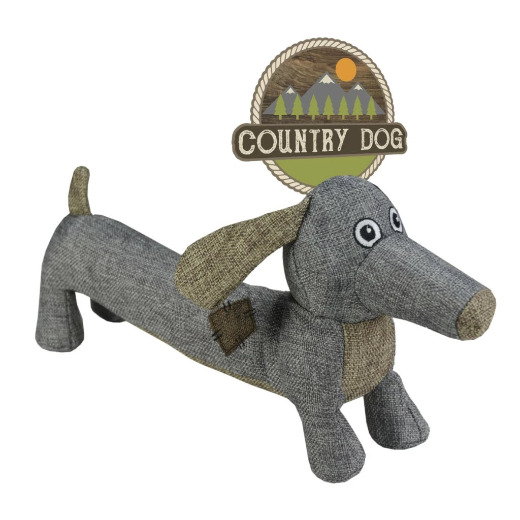 Country Dog - Buddy klein