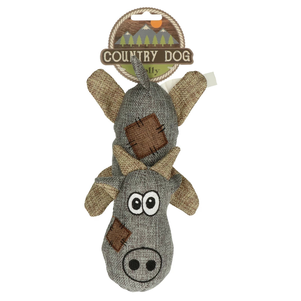 Country Dog - Molly