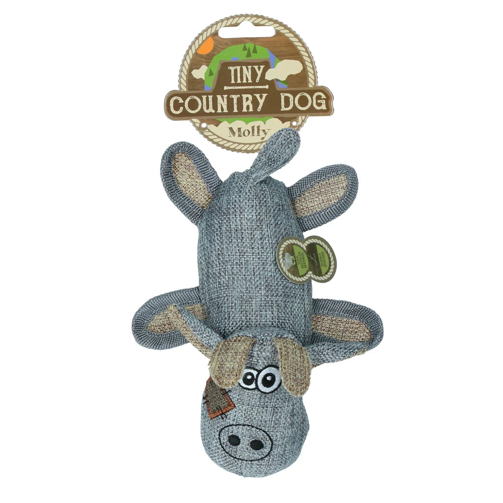 Country Dog - Molly klein