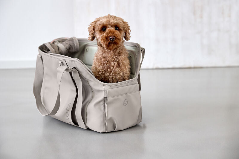 PALOPA - Hundetasche Weda, taupe