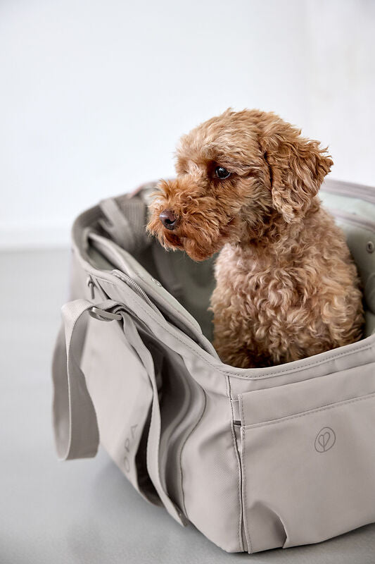 PALOPA - Hundetasche Weda, taupe
