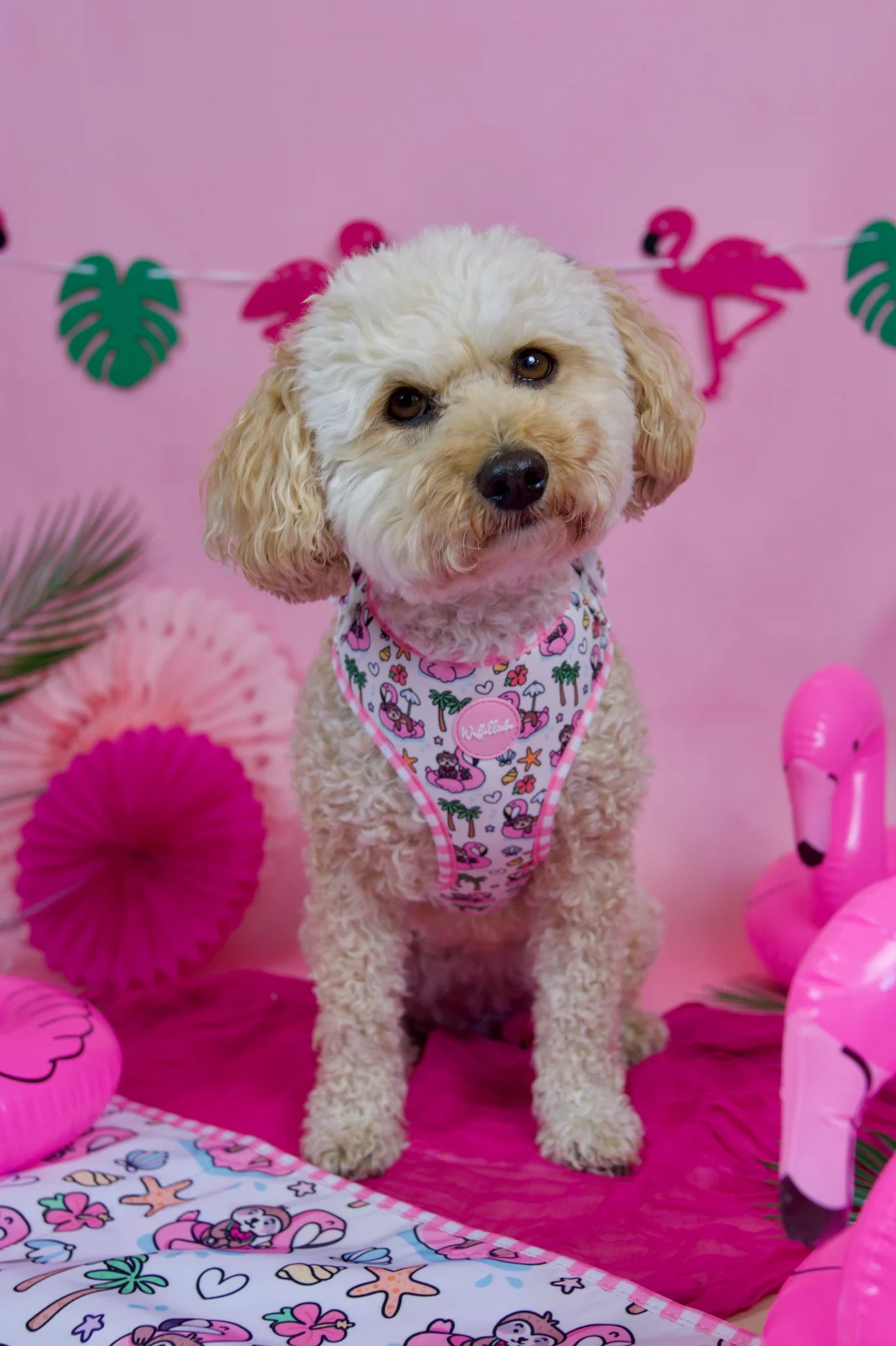WUFFELLIEBE Geschirr- Lazy Flamingo