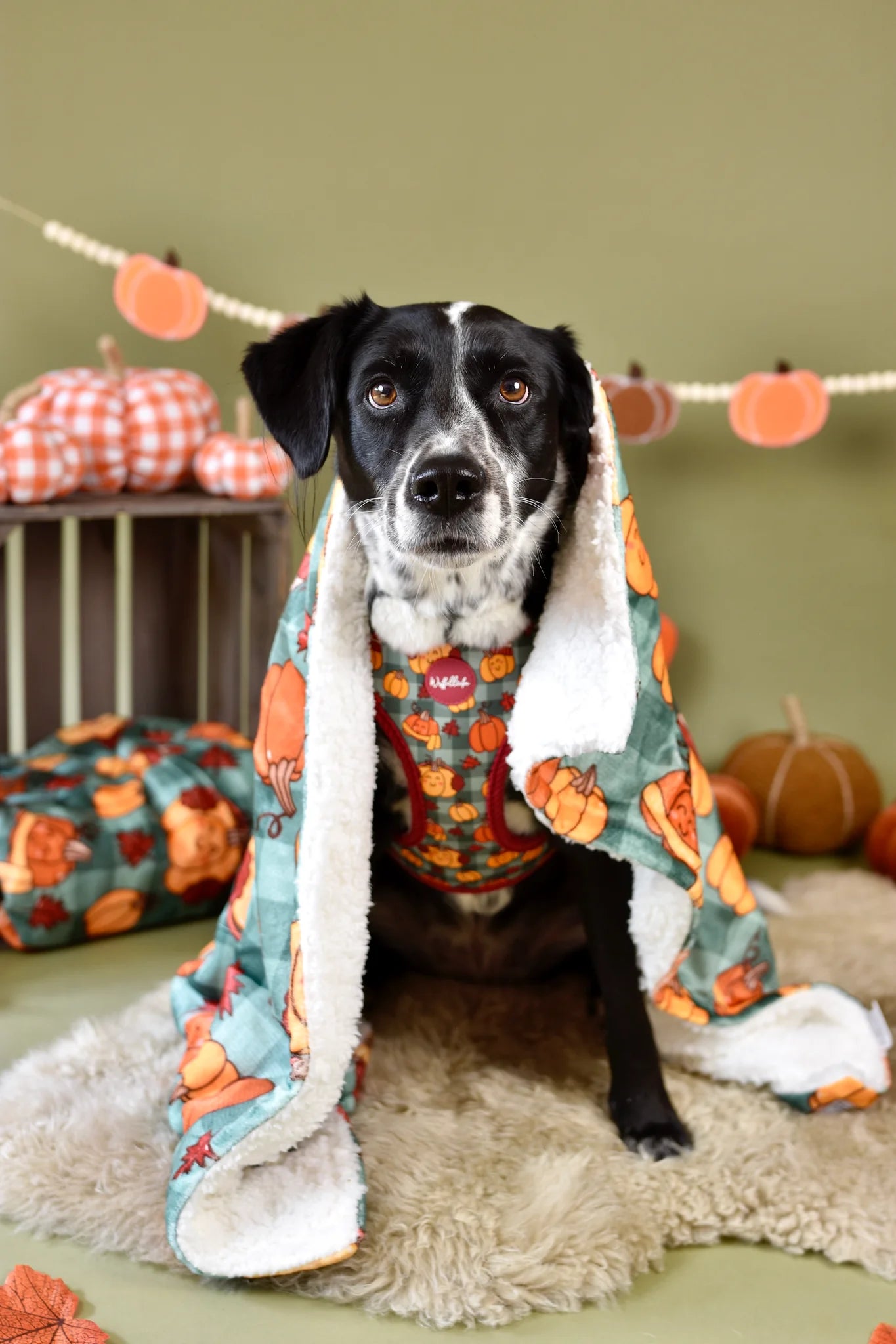 WUFFELLIEBE Kuscheldecke - Cosy Pumpkin Patch