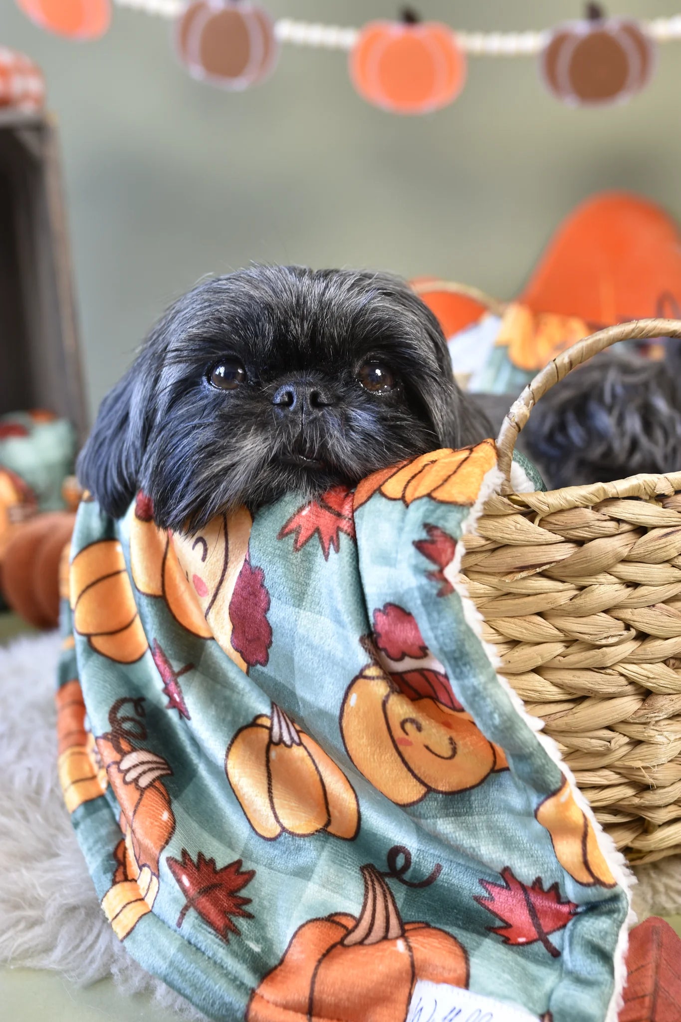 WUFFELLIEBE Kuscheldecke - Cosy Pumpkin Patch