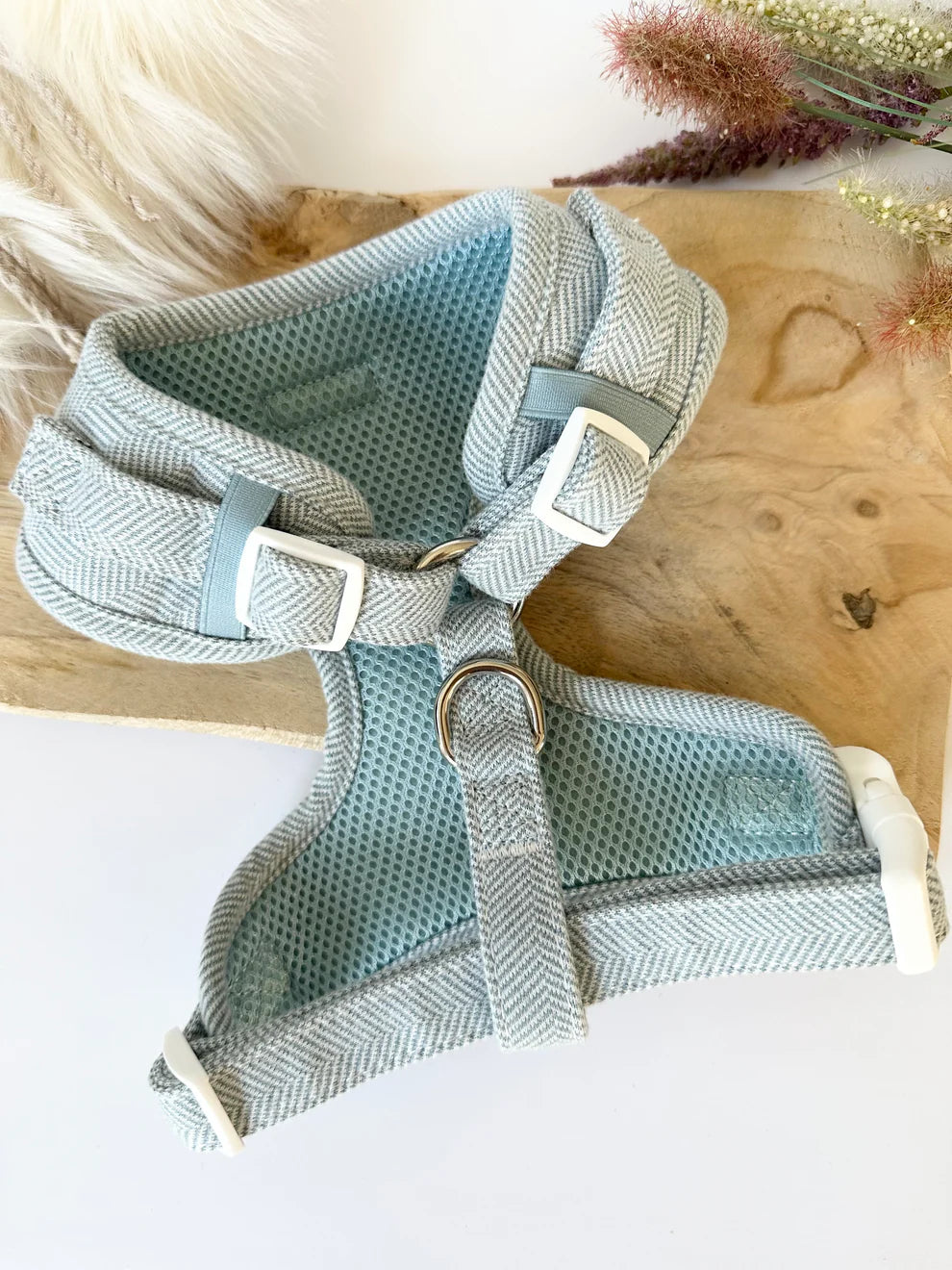 Katy&Grace - Geschirr Tweed