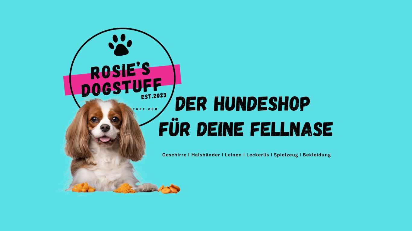 banner homepage