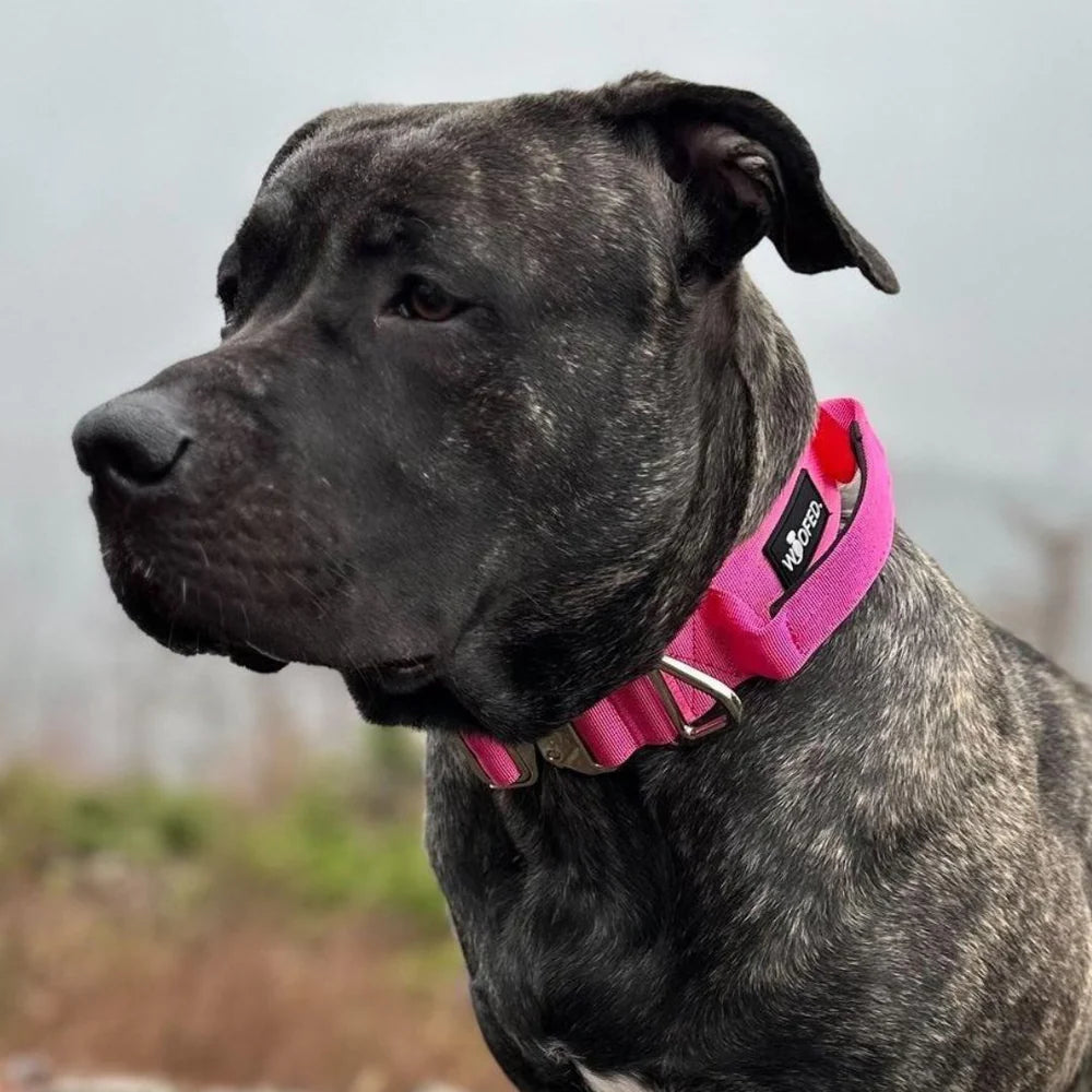 WOOFED - Halsband pink