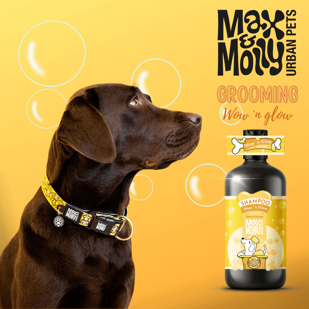 MAX & MOLLY Shampoo - Wow 'N' Glow