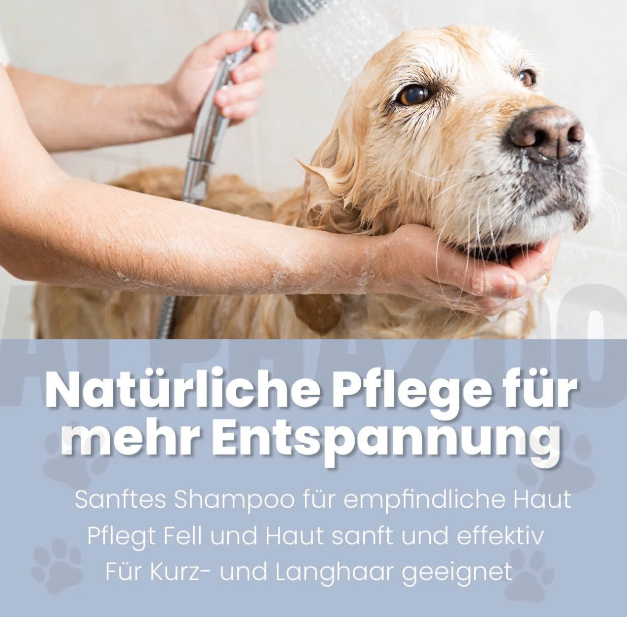 ALPHAZOO - Shampoo "Sensibelchen" mit Aloe Vera