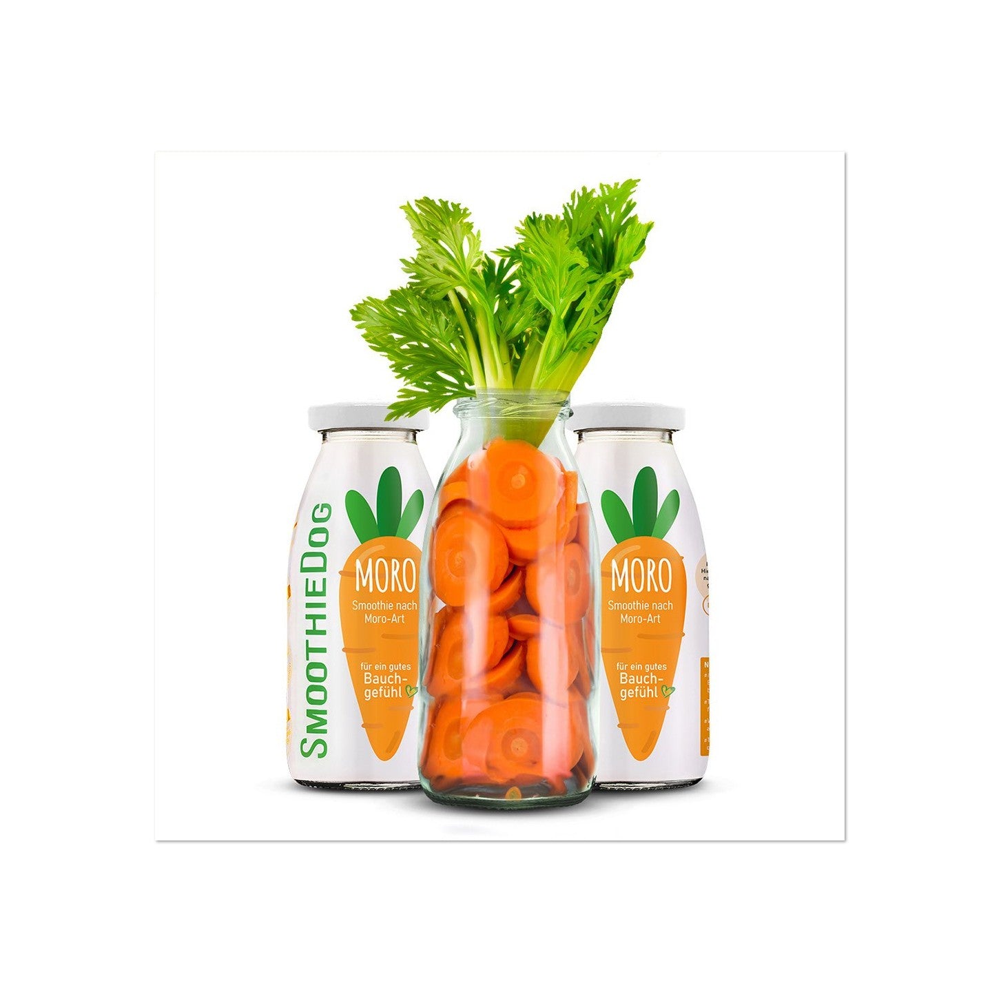 SMOOTHIE DOG - Morosche Karottensuppe
