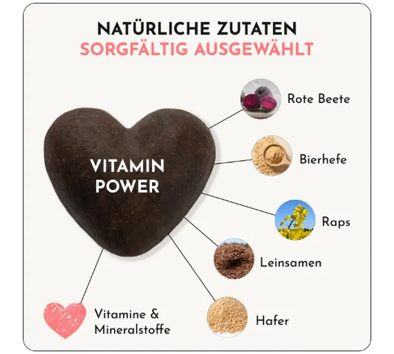 DOGGYLOVE - Vitamin Power