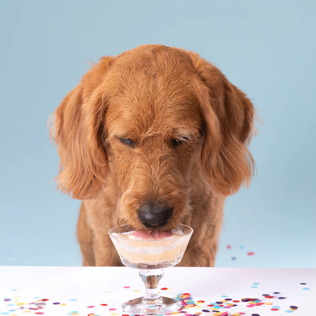 DOGGYBIRTHDAY - Pawty-Brause mit Kurkuma