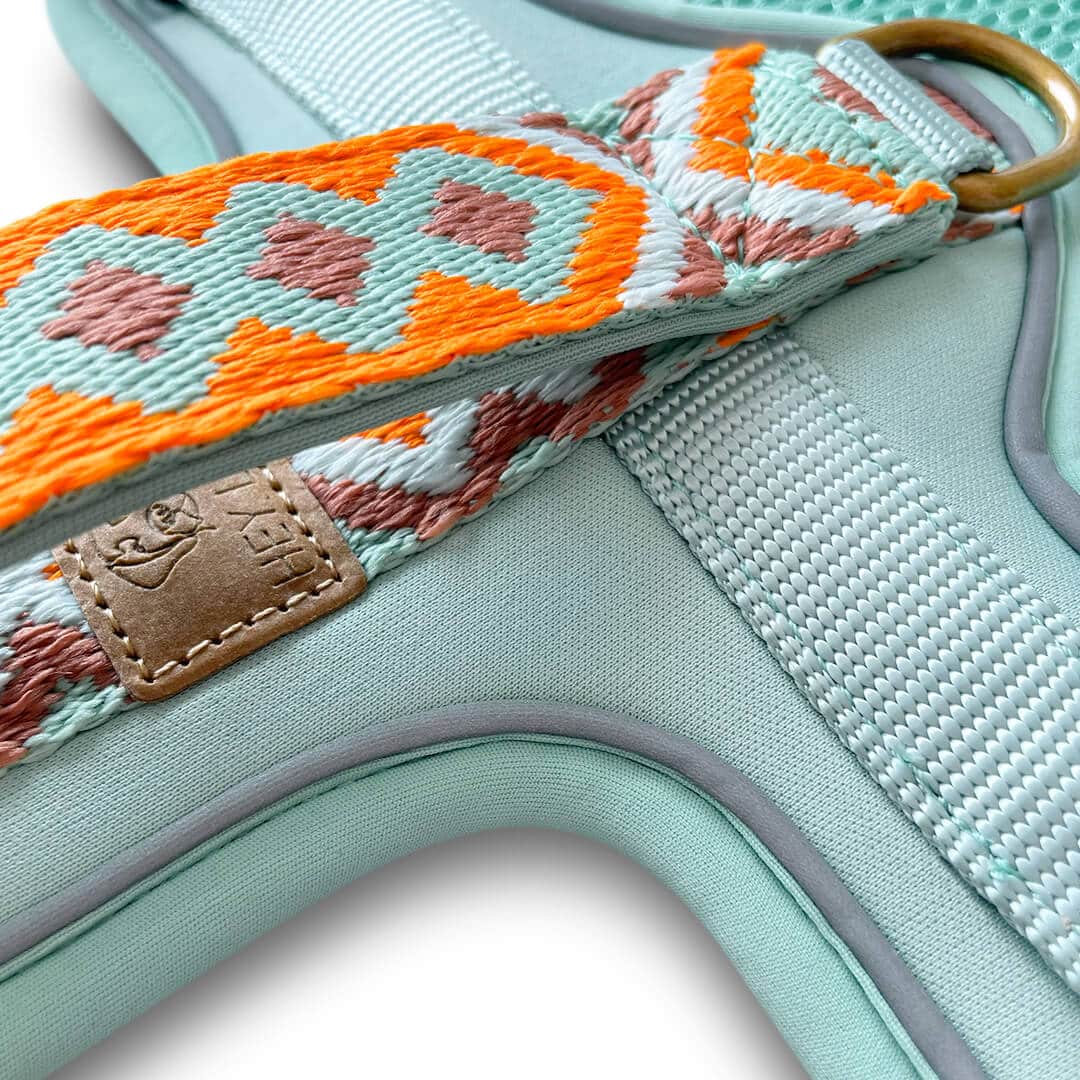 HEY LANA - Geschirr Premium, mint/orange