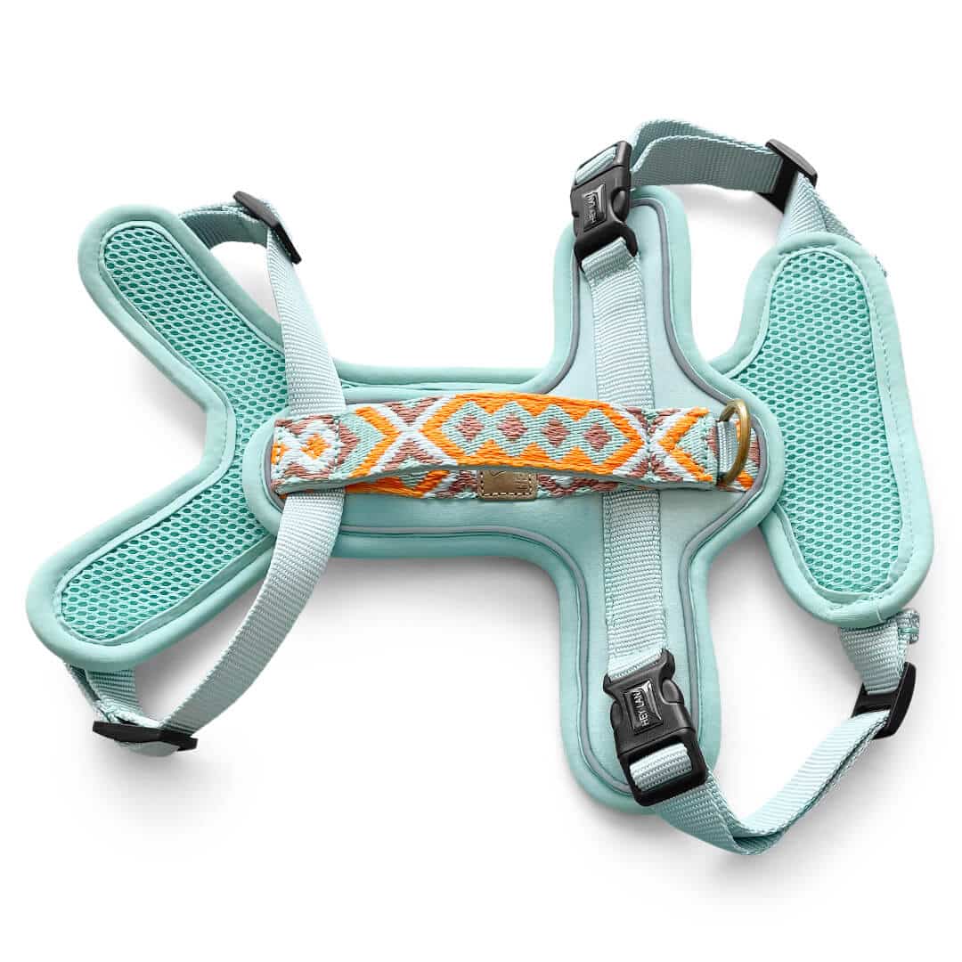 HEY LANA - Geschirr Premium, mint/orange