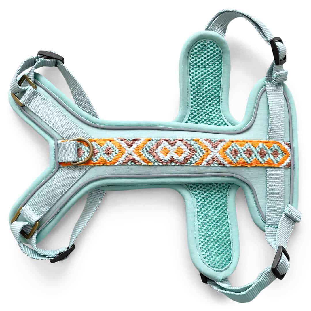 HEY LANA - Geschirr Premium, mint/orange