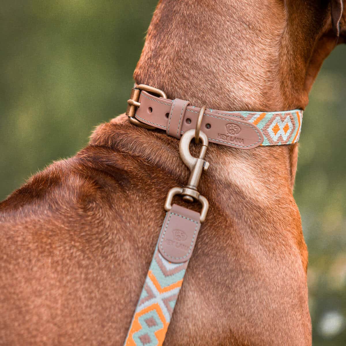 HEY LANA - Leine Premium, mint/orange