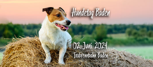 Hundetag Baden 02.06.2024