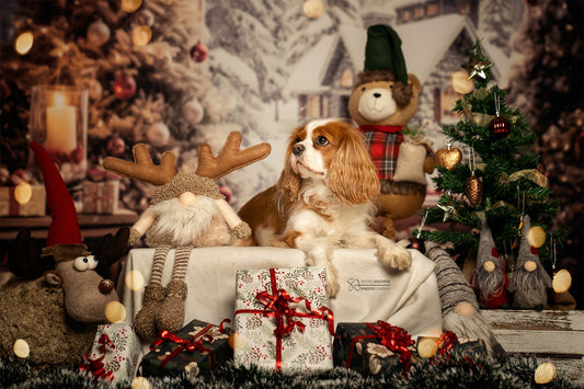 FROHE WEIHNACHTEN...