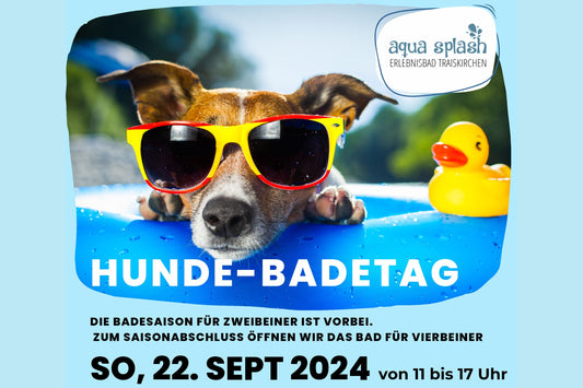 Hunde Badetag Traiskirchen