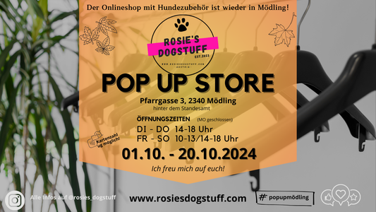 Pop Up Store @ Mödling