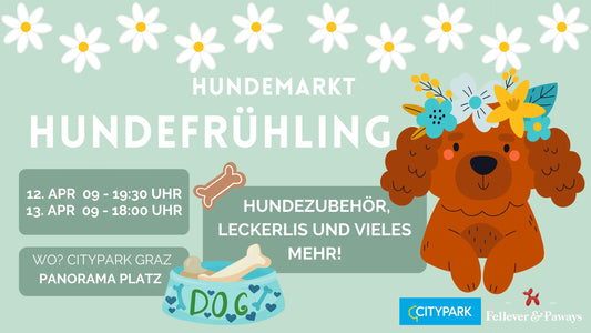 Hundefrühling in Graz im April!