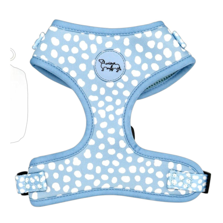 Blue White Dots