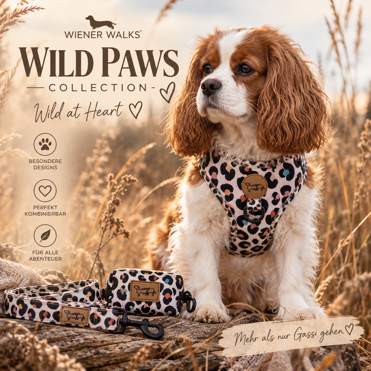 Wild Paws