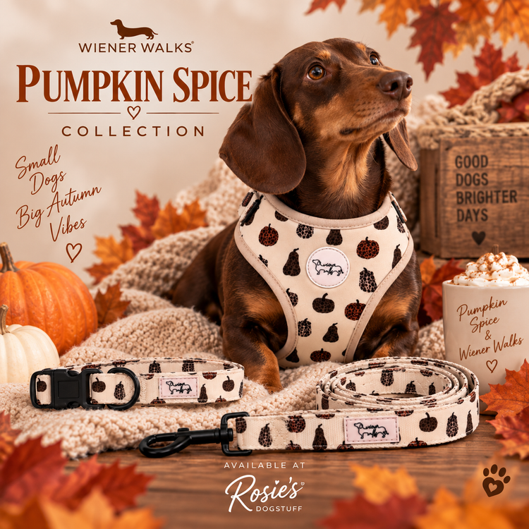 Pumpkin Spice