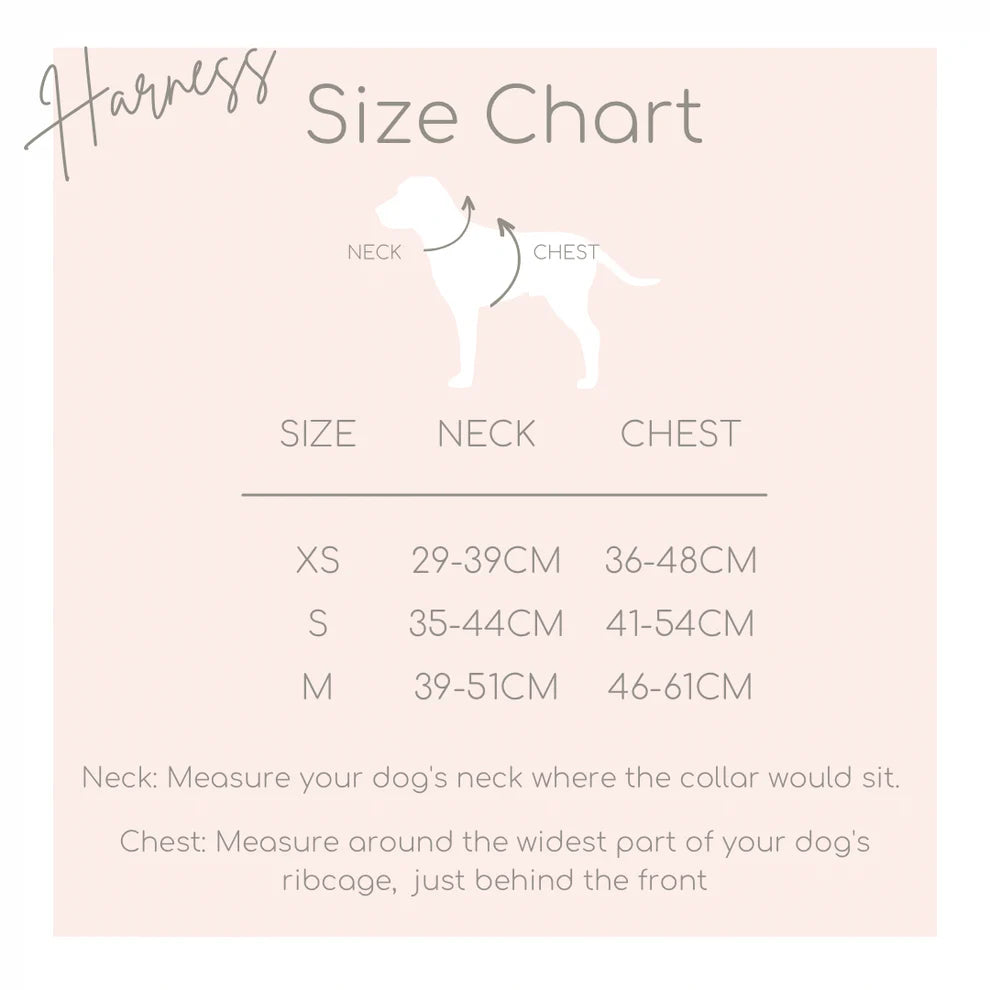 Katy&Grace - Geschirr Bear Trail