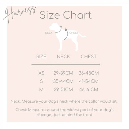 Katy&Grace - Geschirr Classic Hound