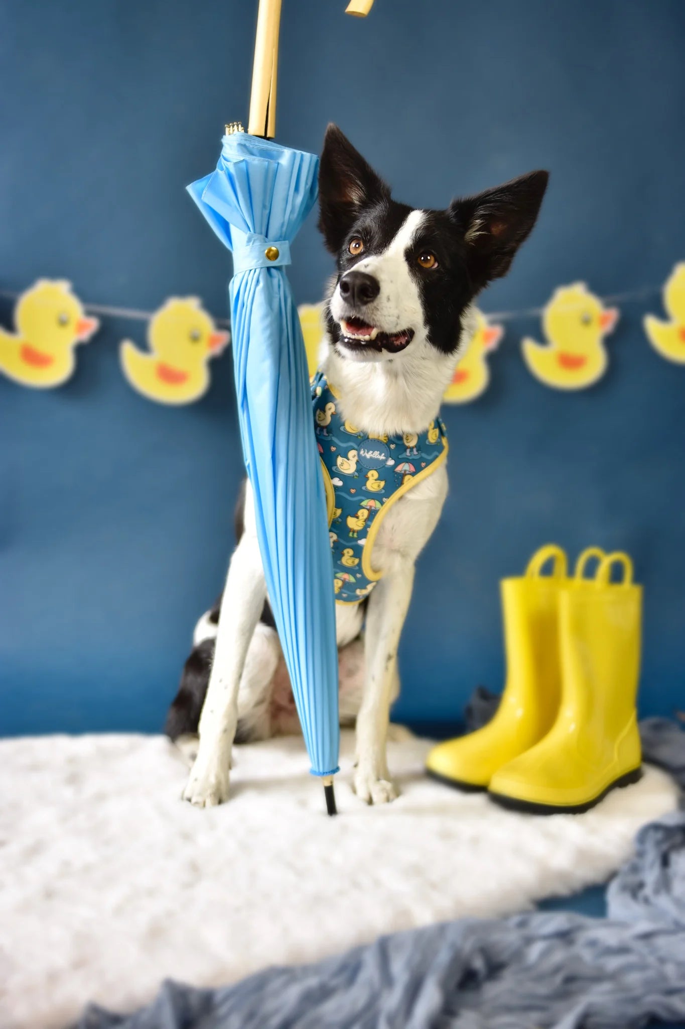 WUFFELLIEBE Geschirr- You quack me up