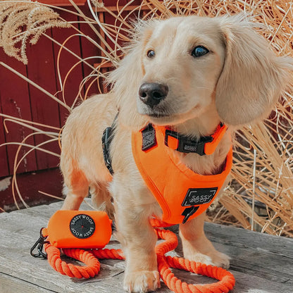 SASSY WOOF Seilleine - Neon Orange