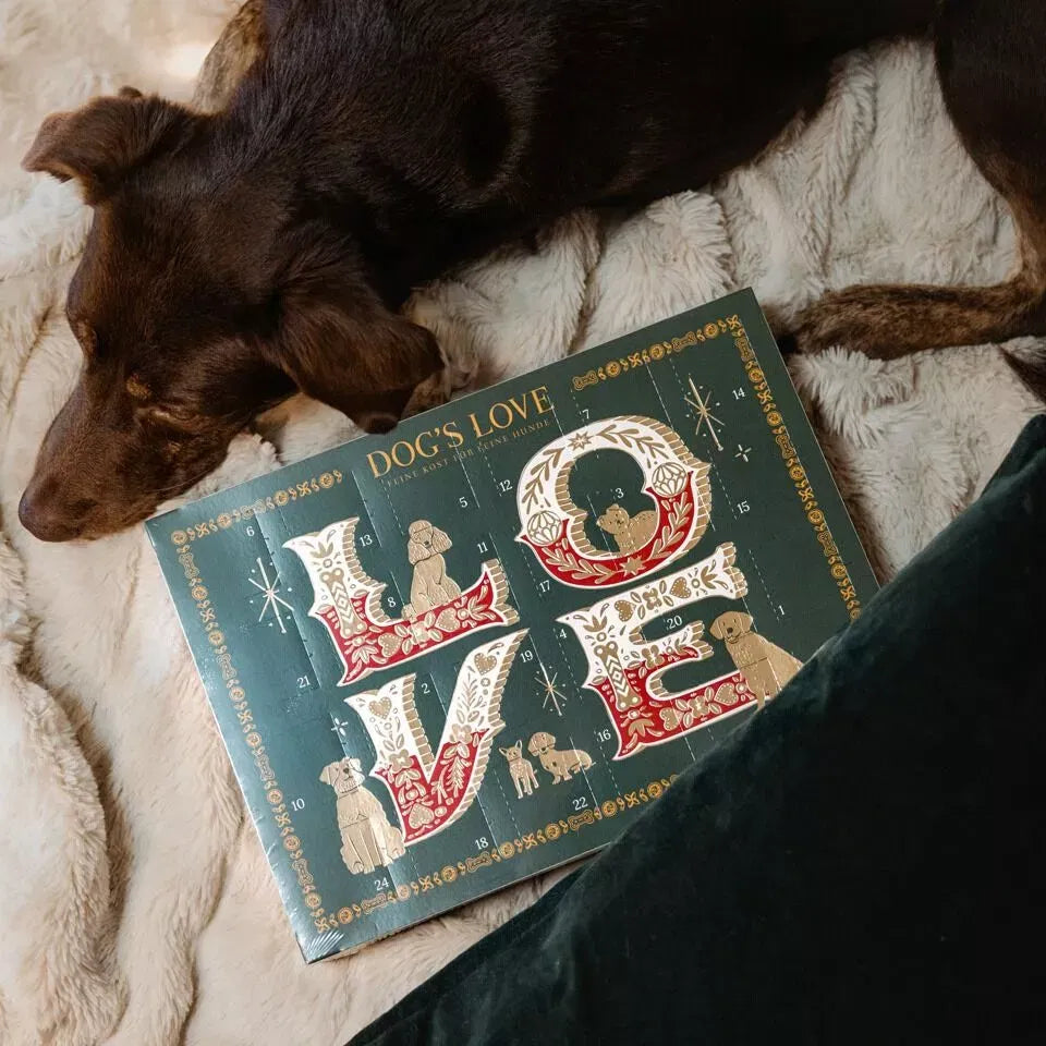 DOG'S LOVE - Adventskalender