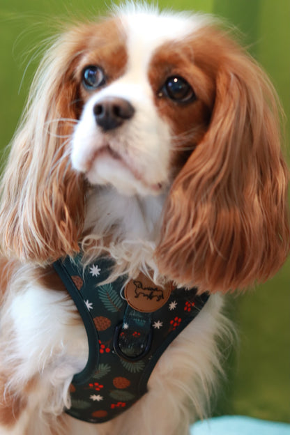 WIENER WALKS - Geschirr Pineberry