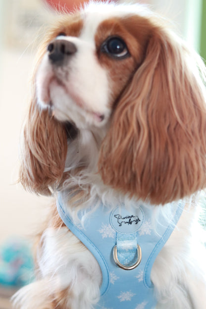 WIENER WALKS - Geschirr Snowflake